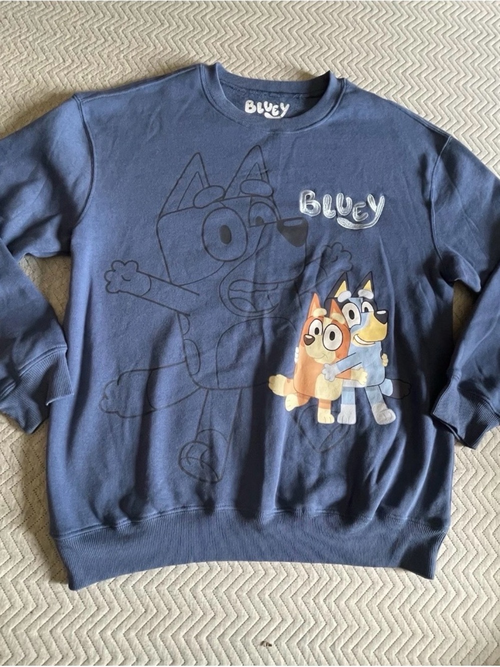 <wp><b>Bluey &amp; Bingo Graphic Sweatshirt Medium Hybrid Apparel Blue Fleece Cr
